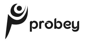 PROBEY SERVICES
