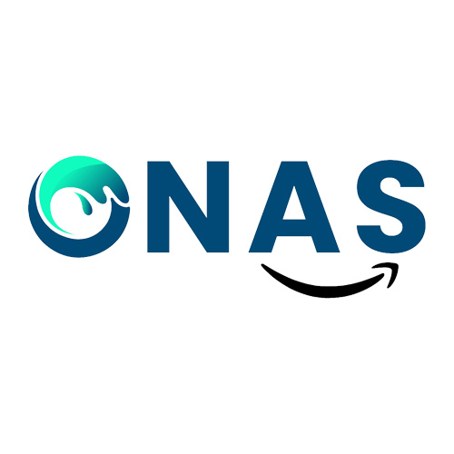 Onas Consulting Services
