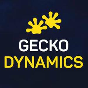 Gecko Dynamics