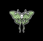 Pretty Dead Taxidermy Inc.