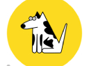 Good Dog Design